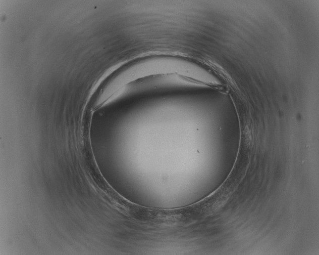 X0000078260484200612011658