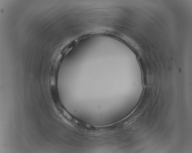 X0000078260485200612011658