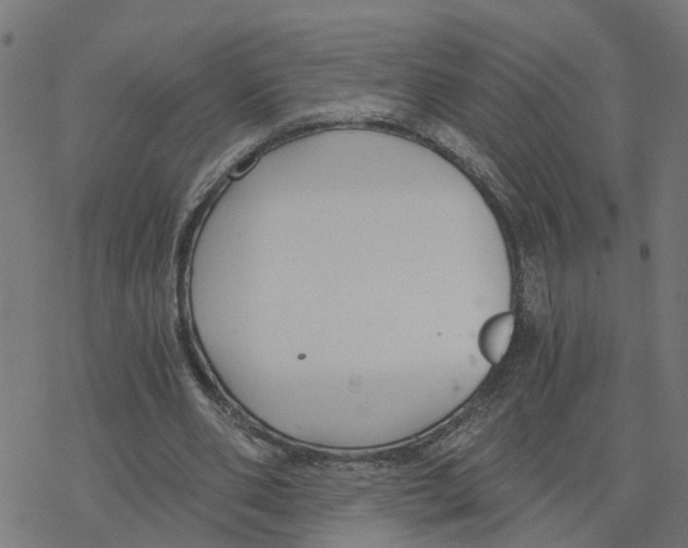 X0000078260486200612011658