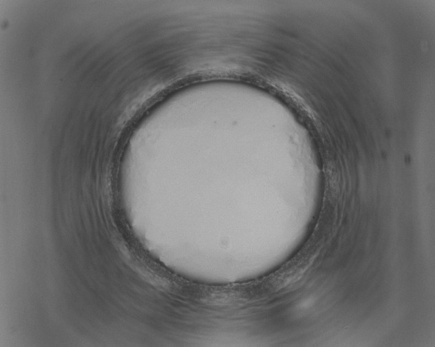 X0000078260487200612011658