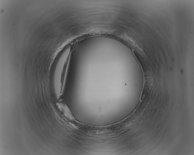 X0000078260488200612011658