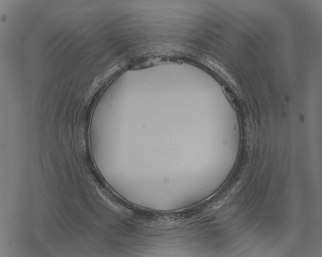 X0000078260489200612011658