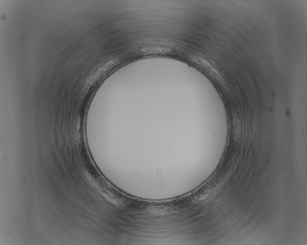 X0000078260490200612011658