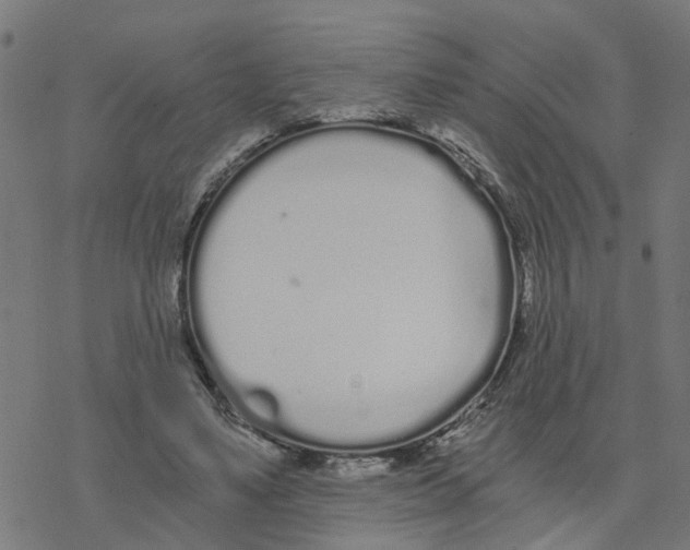 X0000078260491200612011658