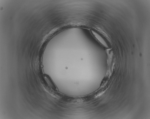 X0000078260492200612011658