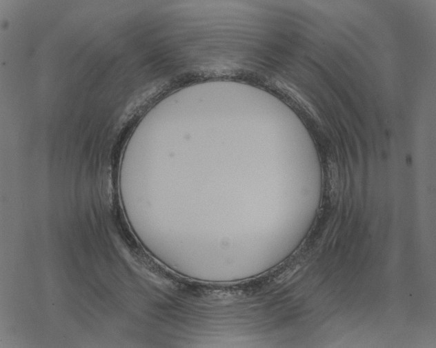 X0000078260494200612011658