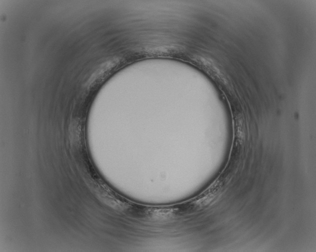 X0000078260495200612011658