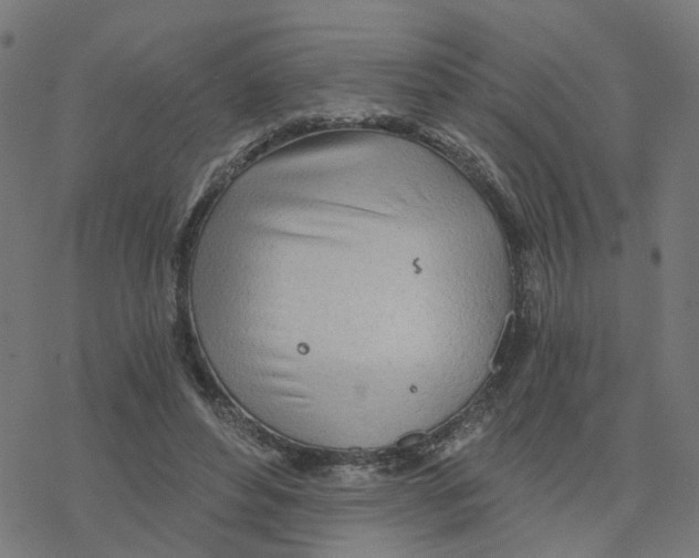 X0000078260496200612011658