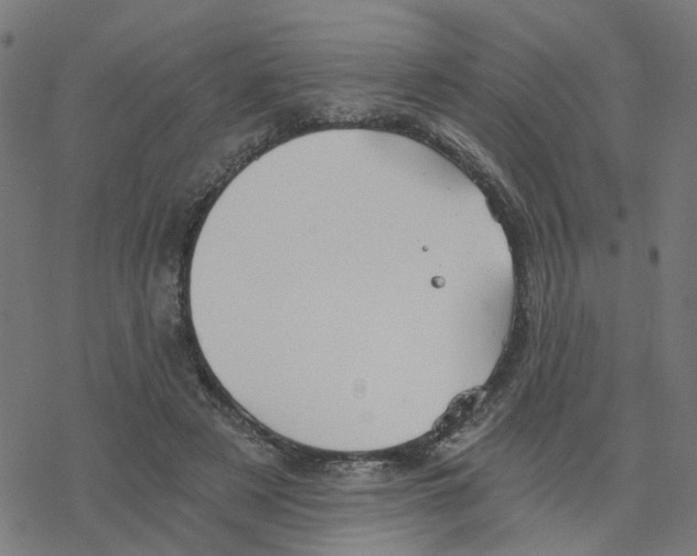 X0000078260497200612011658