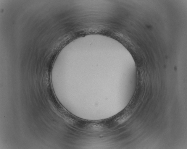 X0000078260498200612011658