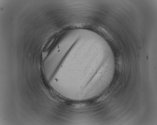 X0000078260500200612011658