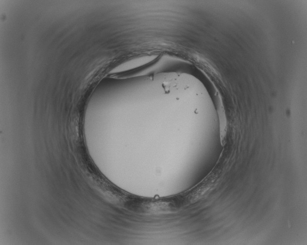 X0000078260501200612011658