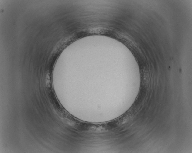 X0000078260502200612011658