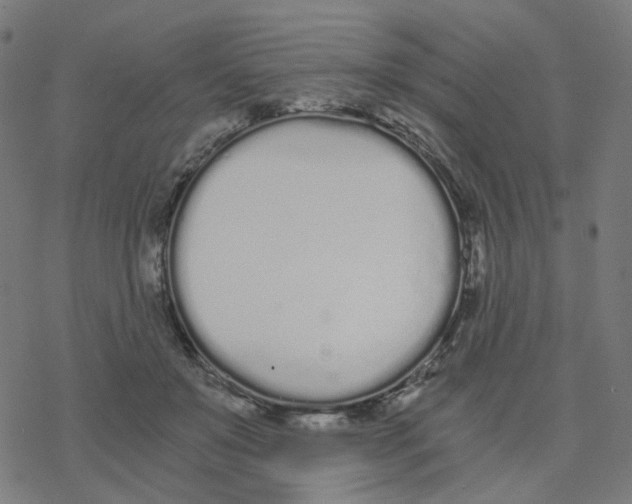 X0000078260503200612011658