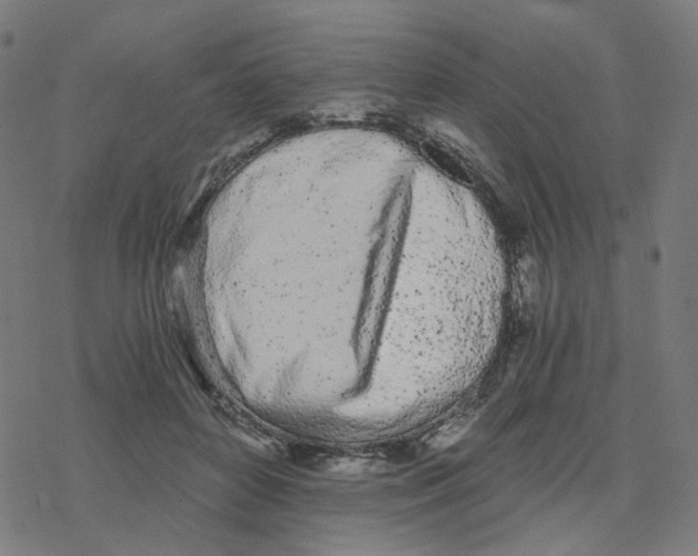 X0000078260504200612011658