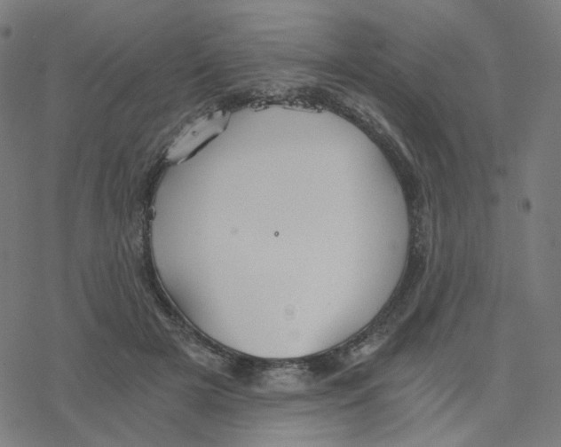 X0000078260505200612011658