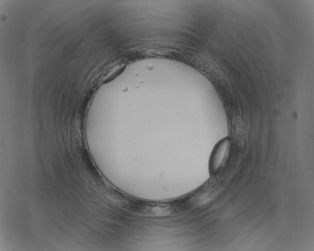 X0000078260506200612011658