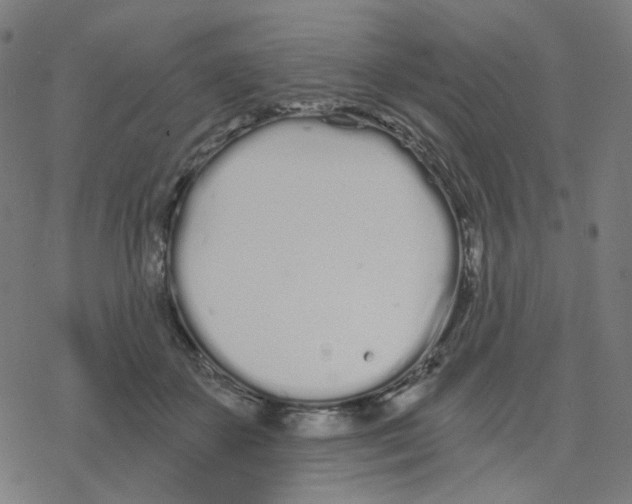 X0000078260507200612011658