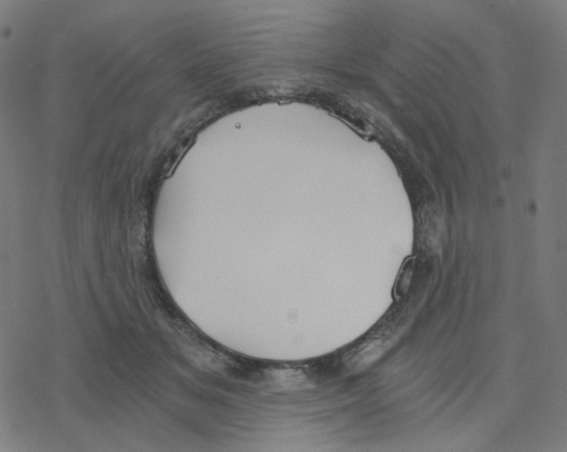 X0000078260509200612011658