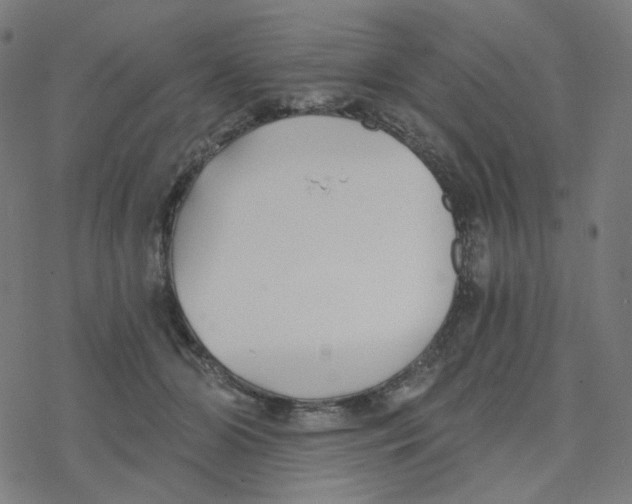 X0000078260510200612011658