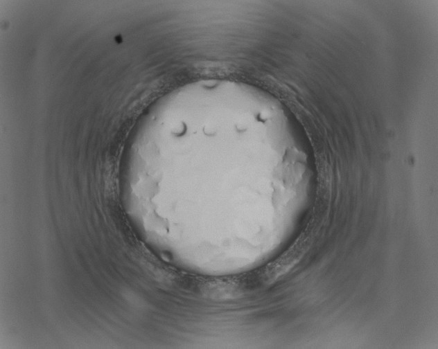 X0000078260511200612011658