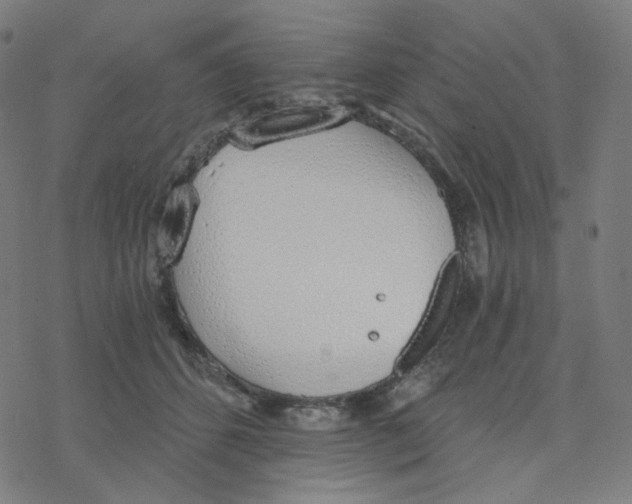 X0000078260512200612011658