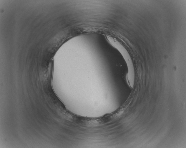 X0000078260513200612011658