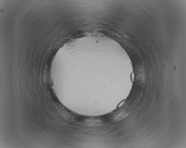 X0000078260515200612011658