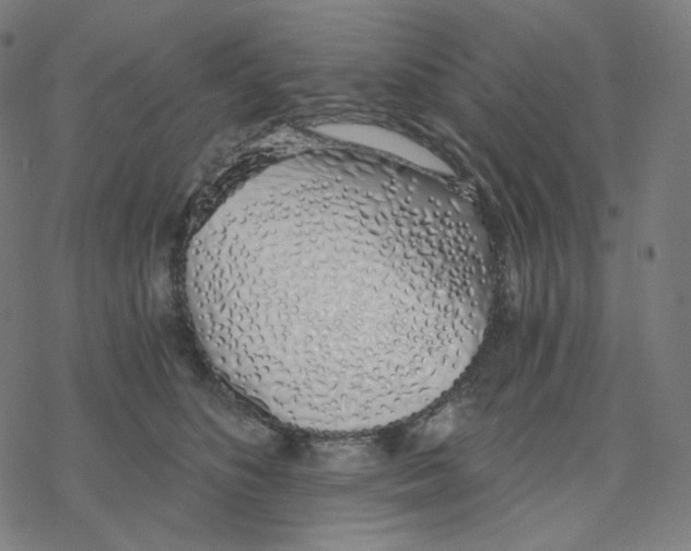 X0000078260516200612011658