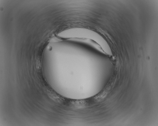 X0000078260517200612011657