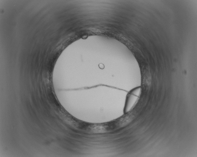 X0000078260518200612011657