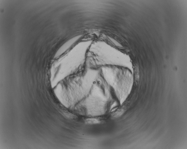 X0000078260519200612011657