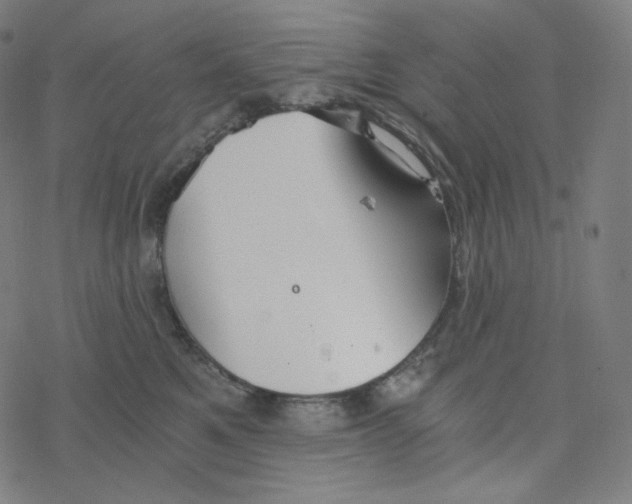 X0000078260521200612011657