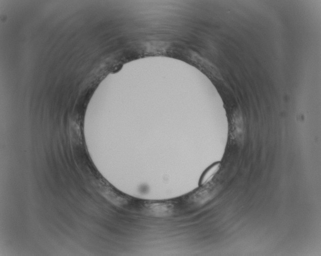 X0000078260522200612011657