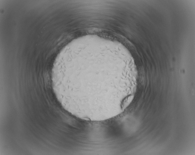 X0000078260523200612011657