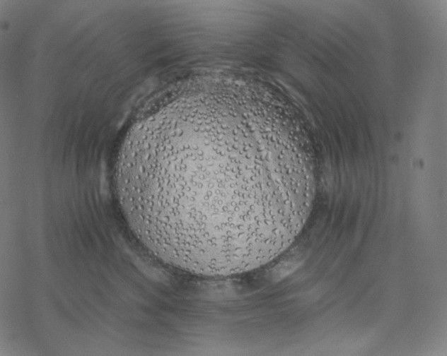 X0000078260524200612011657