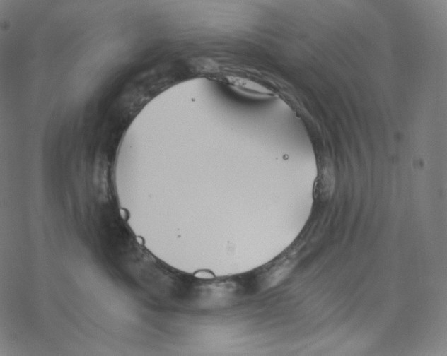 X0000078260525200612011657