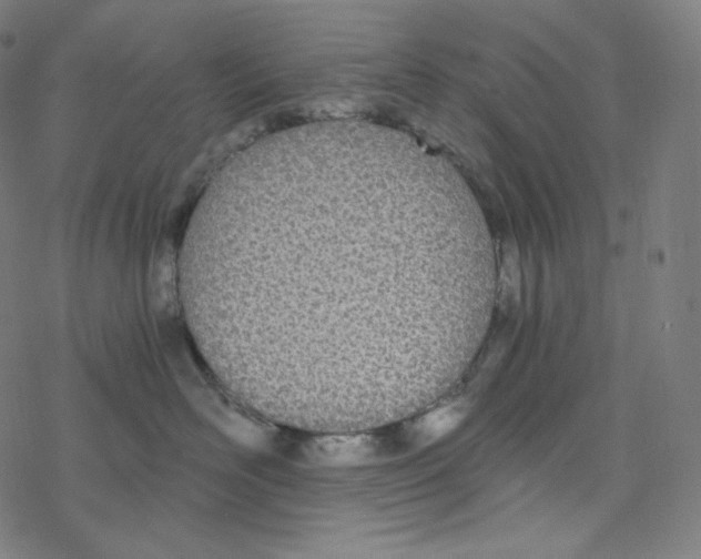 X0000078260526200612011657