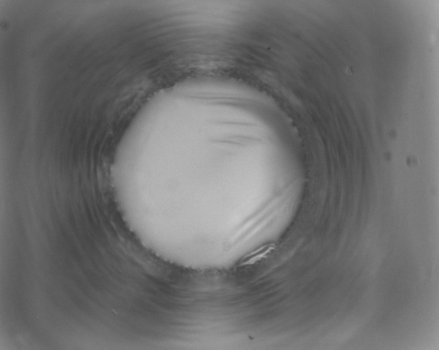 X0000078260528200612011657