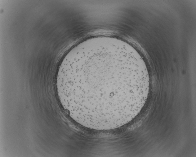 X0000078260529200612011657