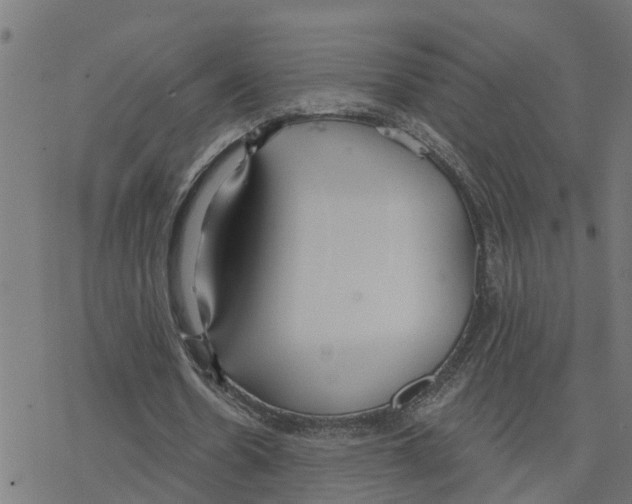 X0000078260530200612011657