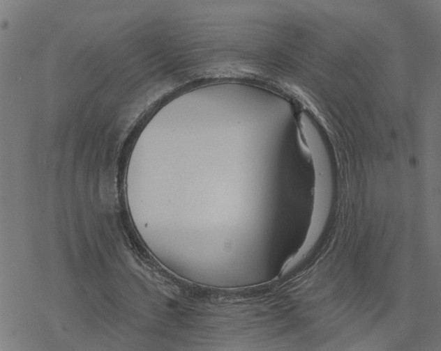 X0000078260531200612011657