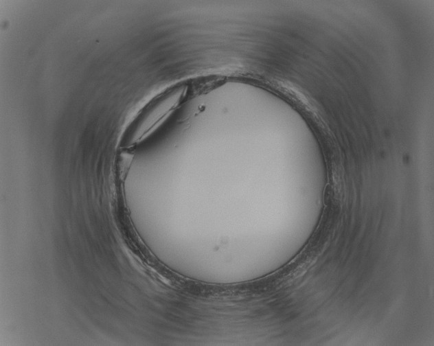 X0000078260532200612011657