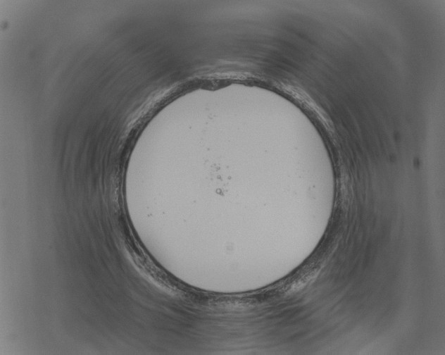 X0000078260533200612011657