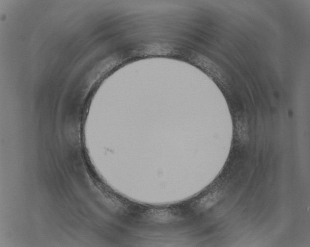 X0000078260534200612011657