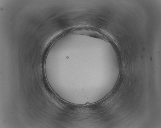 X0000078260535200612011657