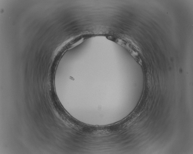 X0000078260536200612011657