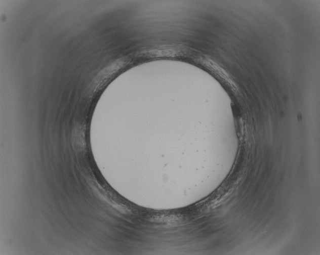 X0000078260537200612011657