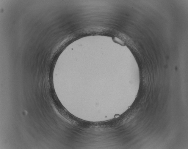 X0000078260538200612011657