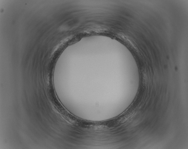 X0000078260539200612011657